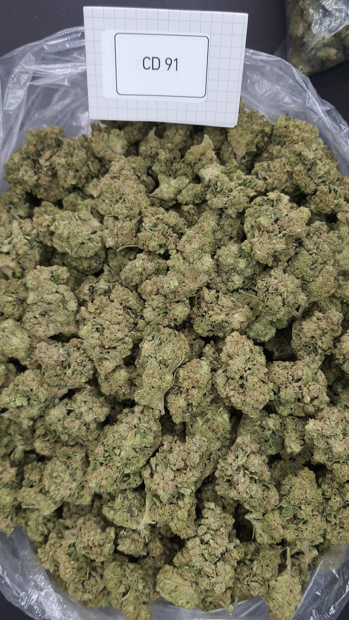 Wholesale Pound Of Smalls 31% THC-a CD91 -$900 - Image 3