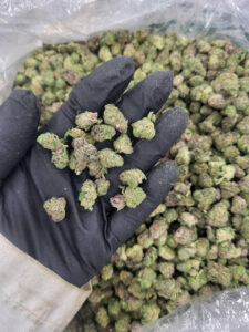 THCa Flower Light Assist- Oreo Smalls (ZAZA) #3