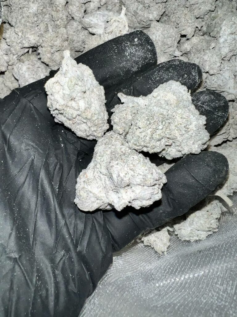 Snow Caps  -Thc-A Flower - Oz $200 #25