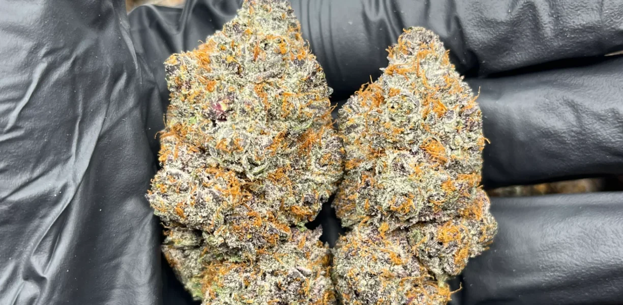 bulk thca flower pounds