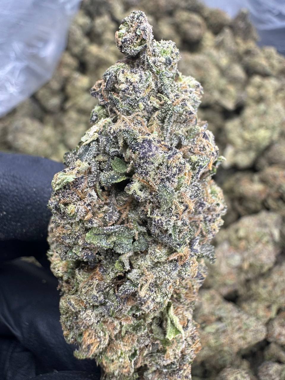 Permanent Marker -37% Thca - 975.00 A Pound Sale - Text or Call - Image 2