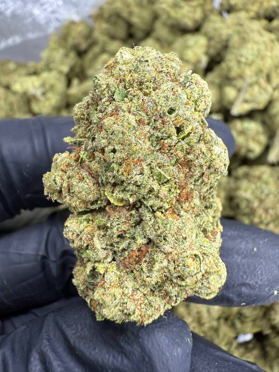 Golden-Goat-Top-Shelf