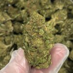 LIFTER - Cbd -$400 a Pound