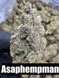 PERMANENT MARKER - Top Self