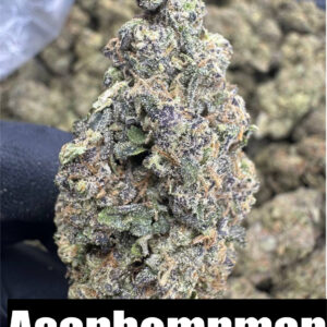 PERMANENT MARKER - Top Self