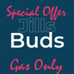 Profile picture of Jills Buds